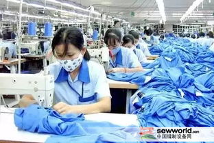 原料价格上涨背景下服装企业双11应对策略